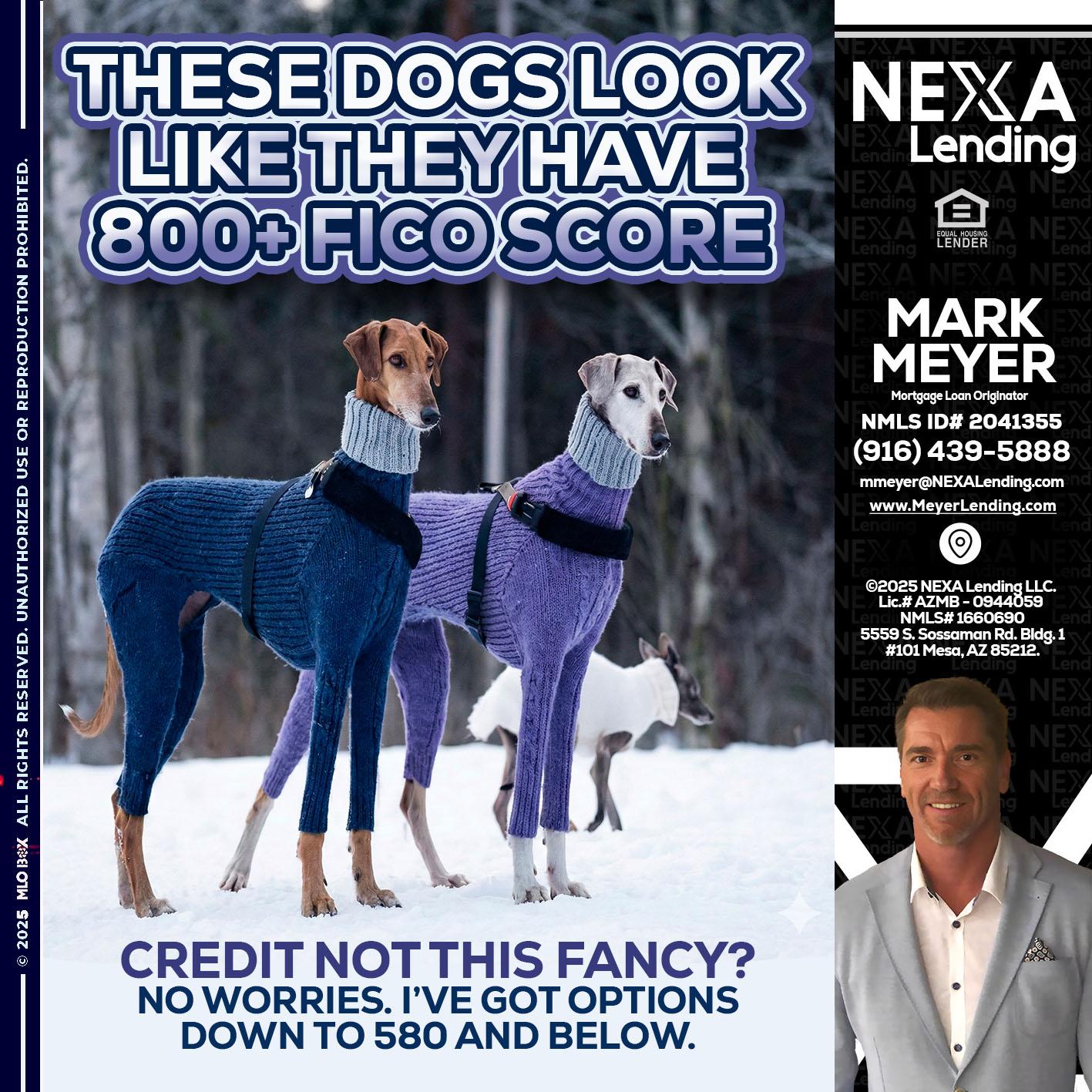 THESE DOGS LOOK - Mark Meyer -Mortgage Loan Originator
